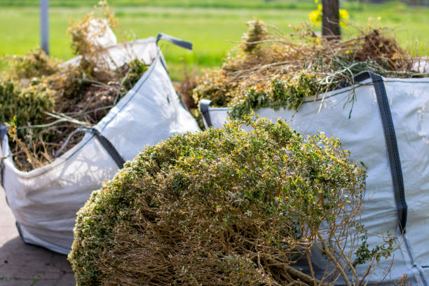 Best Hoarding Cleanup  in Easley, SC